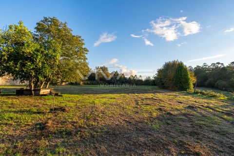 Helårsgrund i Vila Verde, Braga, Vila Verde - € 89.000 | Ref: 01-3729 - foto 17