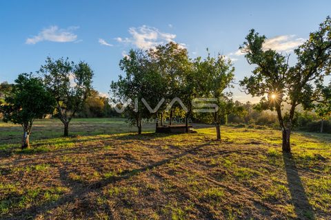 Helårsgrund i Vila Verde, Braga, Vila Verde - € 89.000 | Ref: 01-3729 - foto 18