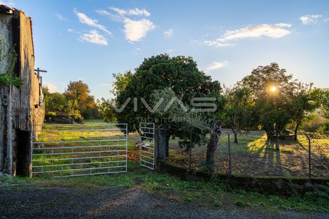 Helårsgrund i Vila Verde, Braga, Vila Verde - € 89.000 | Ref: 01-3729 - foto 21