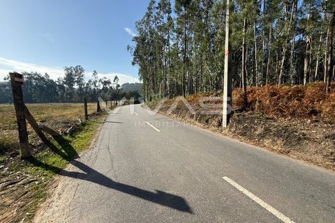 Helårsgrund i Ponte de Lima, Viana do Castelo, Ponte de Lima - € 14.900 | Ref: 01-3744 - foto 1