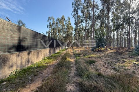 Helårsgrund i Ponte de Lima, Viana do Castelo, Ponte de Lima - € 14.900 | Ref: 01-3744 - foto 2