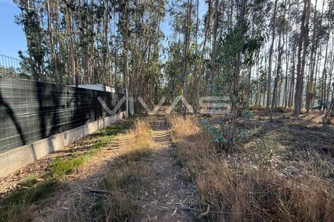 Helårsgrund i Ponte de Lima, Viana do Castelo, Ponte de Lima - € 14.900 | Ref: 01-3744 - foto 3