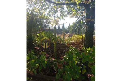 Villa i Mozelos, Aveiro, Mozelos - € 495.000 | Ref: smf_P251101 - foto 37