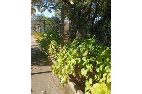Villa i Mozelos, Aveiro, Mozelos - € 495.000 | Ref: smf_P251101 - foto 39
