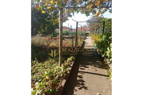 Villa i Mozelos, Aveiro, Mozelos - € 495.000 | Ref: smf_P251101 - foto 40