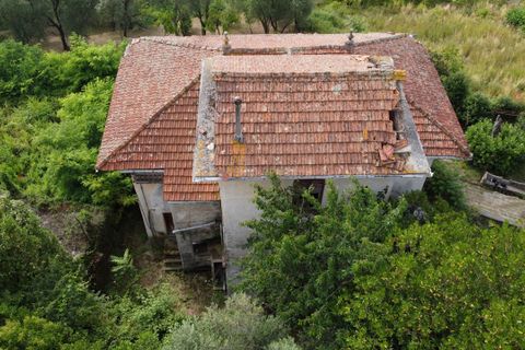 Villa a Rapallo, Genoa, Rapallo - € 250.000 | Ref: 22671 - foto 11