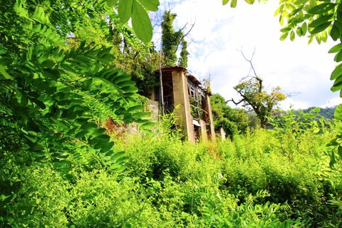 Villa a Rapallo, Genoa, Rapallo - € 250.000 | Ref: 22671 - foto 33