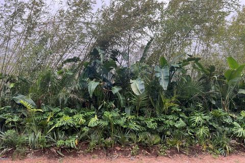 Farm i Almocageme, Lisbon, Almocageme - € 650.000 | Ref: MAS_150 - foto 2