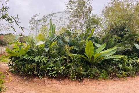 Farm i Almocageme, Lisbon, Almocageme - € 650.000 | Ref: MAS_150 - foto 4