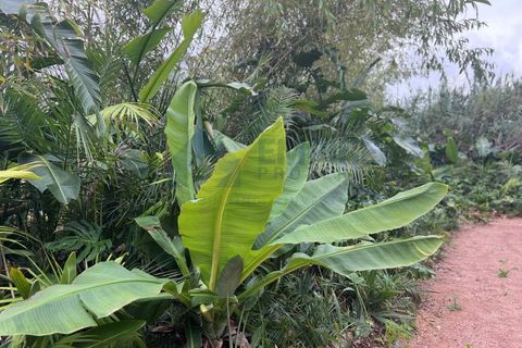 Farm i Almocageme, Lisbon, Almocageme - € 650.000 | Ref: MAS_150 - foto 5