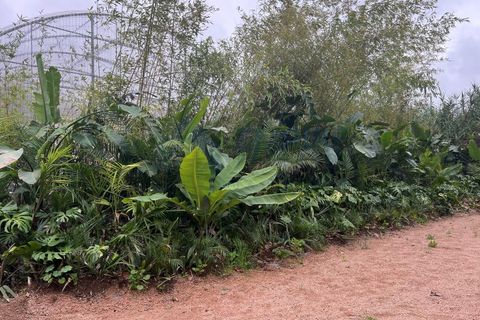 Farm i Almocageme, Lisbon, Almocageme - € 650.000 | Ref: MAS_150 - foto 6