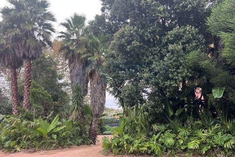 Farm i Almocageme, Lisbon, Almocageme - € 650.000 | Ref: MAS_150 - foto 7
