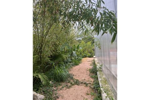 Farm i Almocageme, Lisbon, Almocageme - € 650.000 | Ref: MAS_150 - foto 9