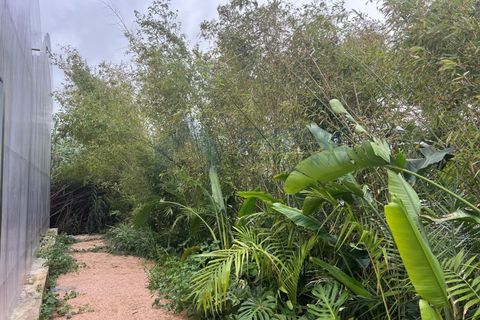 Farm i Almocageme, Lisbon, Almocageme - € 650.000 | Ref: MAS_150 - foto 10