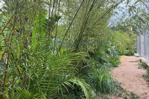 Farm i Almocageme, Lisbon, Almocageme - € 650.000 | Ref: MAS_150 - foto 11