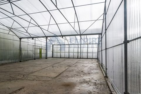 Farm i Almocageme, Lisbon, Almocageme - € 650.000 | Ref: MAS_150 - foto 15