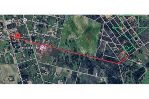 Helårsgrund i Quinta do Anjo, Setubal, Quinta do Anjo - € 65.000 | Ref: 4766AL5 - foto 5