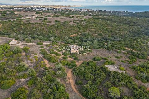 Helårsgrund i Lagoa, Faro, Lagoa - € 2.800.000 | Ref: EAV-4129 - foto 17