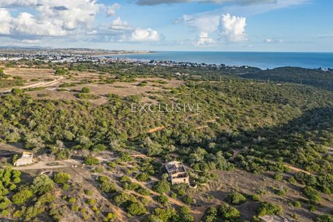 Helårsgrund i Lagoa, Faro, Lagoa - € 2.800.000 | Ref: EAV-4129 - foto 6