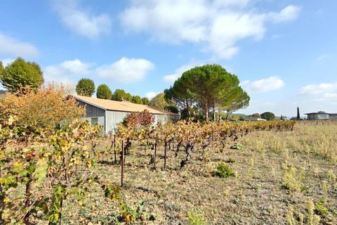 Villa i Cépie, Aude, Cépie - € 330.000 | Ref: 9265 - foto 25