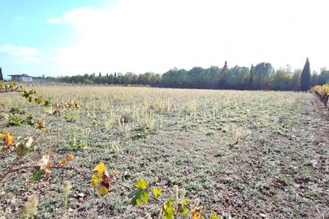 Villa i Cépie, Aude, Cépie - € 330.000 | Ref: 9265 - foto 26