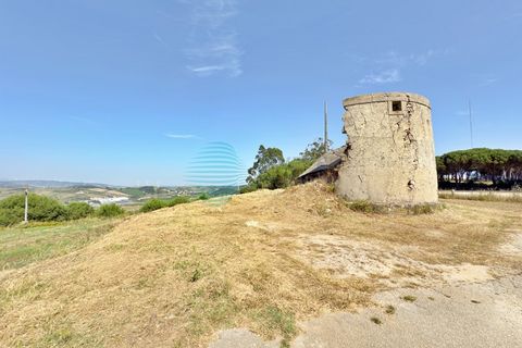 Helårsgrund i Matacaes, Lisbon, Matacaes - € 95.000 | Ref: 3345-LTAM - foto 15