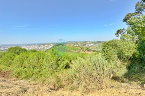Helårsgrund i Matacaes, Lisbon, Matacaes - € 95.000 | Ref: 3345-LTAM - foto 20