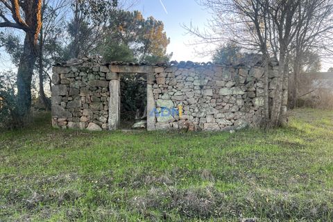 Farm hus i Castelo Branco, Castelo Branco, Castelo Branco - € 28.000 | Ref: 125104 - foto 1