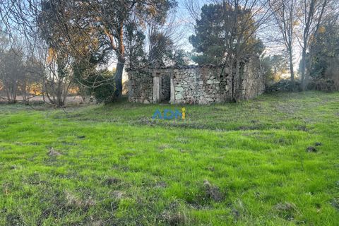 Farm hus i Castelo Branco, Castelo Branco, Castelo Branco - € 28.000 | Ref: 125104 - foto 2