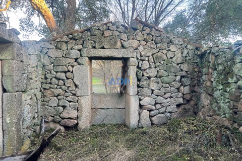 Farm hus i Castelo Branco, Castelo Branco, Castelo Branco - € 28.000 | Ref: 125104 - foto 4
