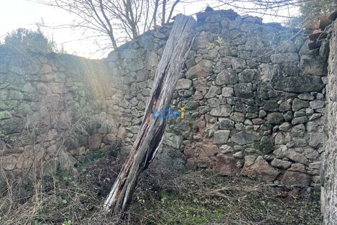 Farm hus i Castelo Branco, Castelo Branco, Castelo Branco - € 28.000 | Ref: 125104 - foto 5