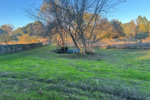 Farm hus i Castelo Branco, Castelo Branco, Castelo Branco - € 28.000 | Ref: 125104 - foto 7