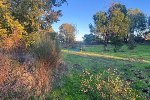 Farm hus i Castelo Branco, Castelo Branco, Castelo Branco - € 28.000 | Ref: 125104 - foto 10