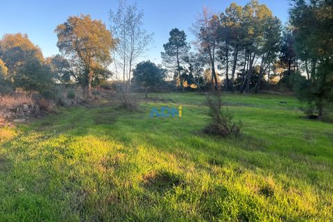 Farm hus i Castelo Branco, Castelo Branco, Castelo Branco - € 28.000 | Ref: 125104 - foto 11