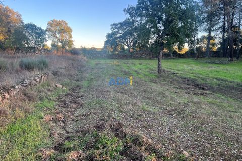 Farm hus i Castelo Branco, Castelo Branco, Castelo Branco - € 28.000 | Ref: 125104 - foto 13