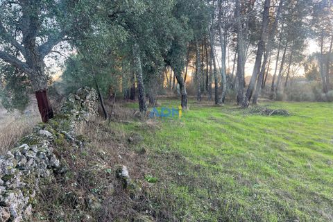 Farm hus i Castelo Branco, Castelo Branco, Castelo Branco - € 28.000 | Ref: 125104 - foto 14