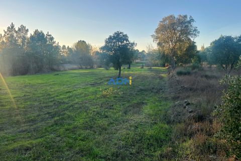 Farm hus i Castelo Branco, Castelo Branco, Castelo Branco - € 28.000 | Ref: 125104 - foto 16