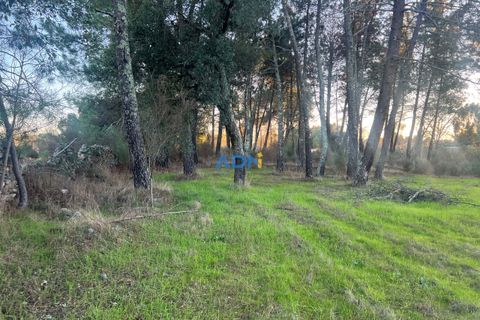 Farm hus i Castelo Branco, Castelo Branco, Castelo Branco - € 28.000 | Ref: 125104 - foto 17