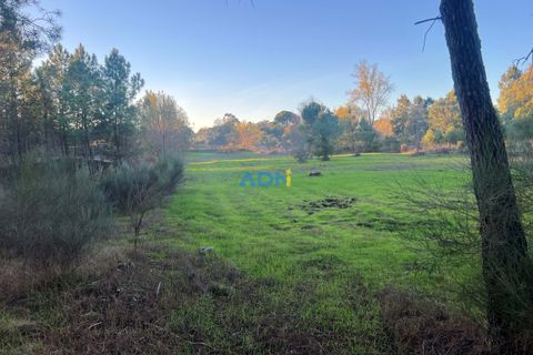Farm hus i Castelo Branco, Castelo Branco, Castelo Branco - € 28.000 | Ref: 125104 - foto 18
