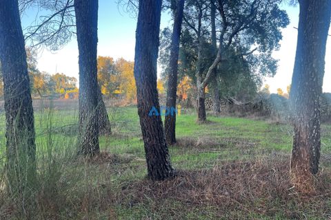Farm hus i Castelo Branco, Castelo Branco, Castelo Branco - € 28.000 | Ref: 125104 - foto 19