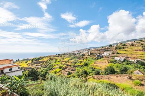 Villa i Calheta, Madeira, Calheta - € 650.000 | Ref: 123511098-148 - foto 29