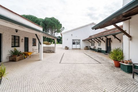 Villa a Agueda, Aveiro, Agueda - € 970.000 | Ref: LUX_CB-01185 - foto 34