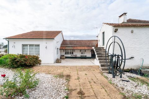 Villa a Agueda, Aveiro, Agueda - € 970.000 | Ref: LUX_CB-01185 - foto 38