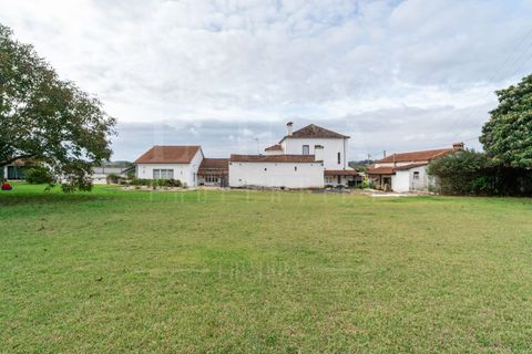 Villa a Agueda, Aveiro, Agueda - € 970.000 | Ref: LUX_CB-01185 - foto 39