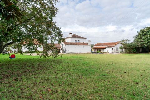 Villa a Agueda, Aveiro, Agueda - € 970.000 | Ref: LUX_CB-01185 - foto 40