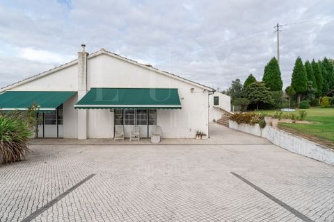 Villa a Agueda, Aveiro, Agueda - € 970.000 | Ref: LUX_CB-01185 - foto 44