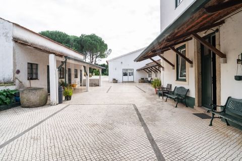 Villa a Agueda, Aveiro, Agueda - € 970.000 | Ref: LUX_CB-01185 - foto 46