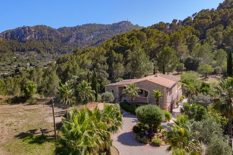 Landejendom i Andratx, Mallorca, Andratx - € 2.950.000 | Ref: AND5PTA52552RM - foto 40