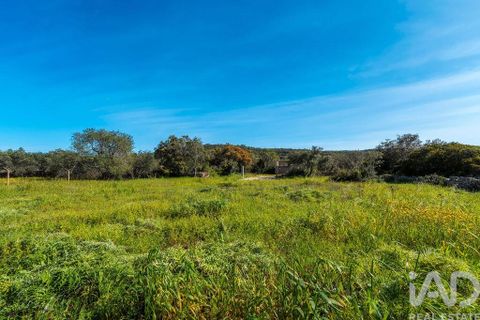 Terra a Loule, Faro, Loule - € 270.000 | Ref: 140710 - foto 14