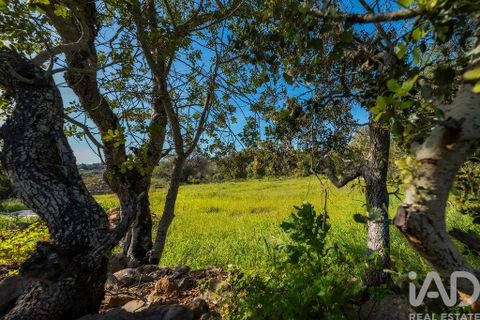 Terra a Loule, Faro, Loule - € 270.000 | Ref: 140710 - foto 18